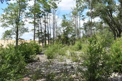 6716 Highway 77, Chipley, FL 32428 photo 5