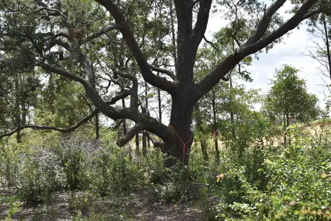 6716 Highway 77, Chipley, FL 32428 photo 3