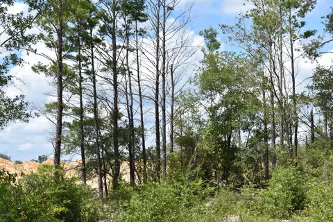 6716 Highway 77, Chipley, FL 32428 photo 8