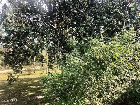 21220 NW Willow Bend Rd, Altha, FL 32421 photo 19