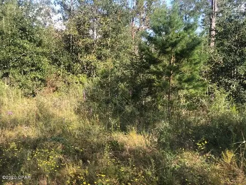 21220 NW Willow Bend Rd, Altha, FL 32421 photo 20