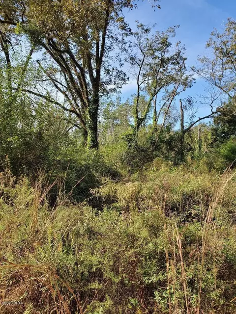 1450 Foxworth Rd, Chipley, FL 32428 photo 1