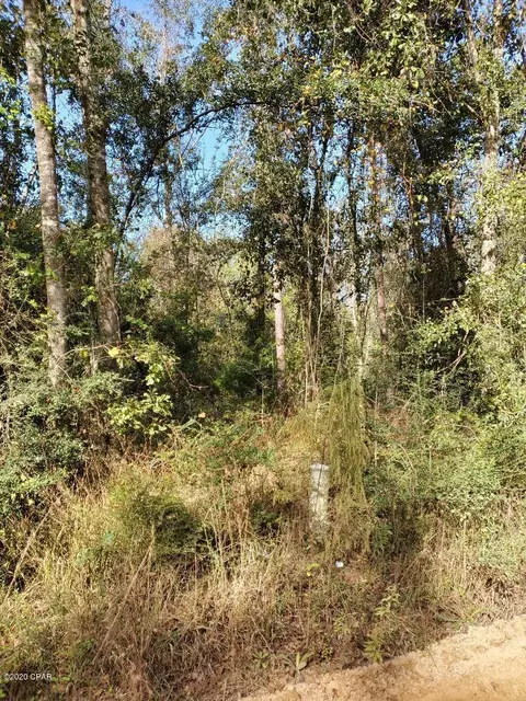 1450 Foxworth Rd, Chipley, FL 32428 photo 4