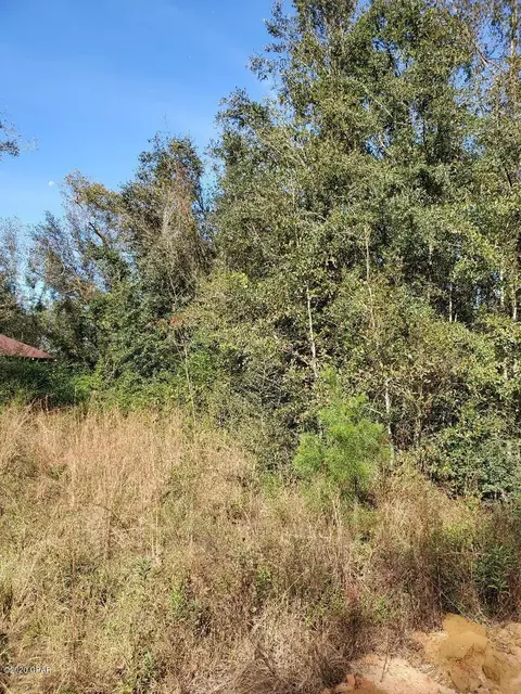 1450 Foxworth Rd, Chipley, FL 32428 photo 2