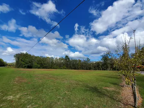 3851 Shell Landing Rd, Vernon, FL 32462 photo 2