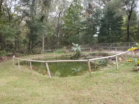 3851 Shell Landing Rd, Vernon, FL 32462 photo 31