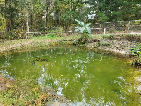 3851 Shell Landing Rd, Vernon, FL 32462 photo 32