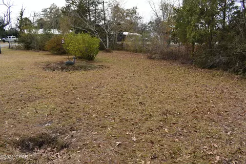 781 7th St, Chipley, FL 32428 photo 3