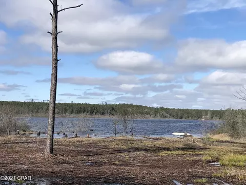 2376 Rolling Pines Rd, Chipley, FL 32428 photo 5