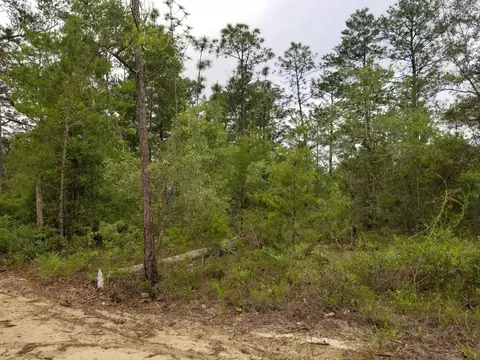 2427 Windbrook St, Chipley, FL 32428 photo 10