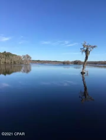 1950 Gap Blvd, Chipley, FL 32428 photo 25