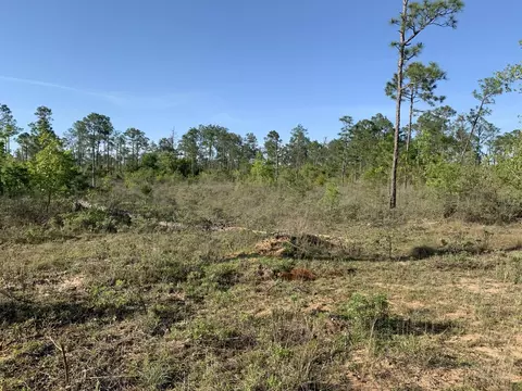 402 Hero Rd, Chipley, FL 32428 photo 1