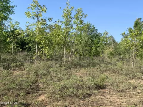 402 Hero Rd, Chipley, FL 32428 photo 2