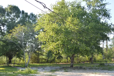 537 Hero Rd, Chipley, FL 32428 photo 20