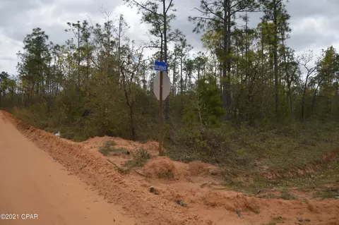 3301 Burns Ln, Chipley, FL 32428 photo 16