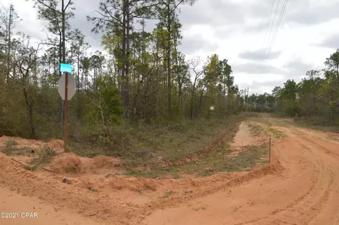 3301 Burns Ln, Chipley, FL 32428 photo 15