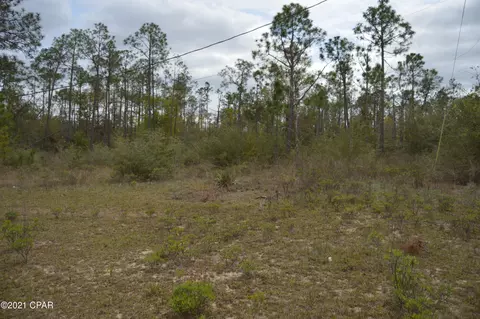 3301 Burns Ln, Chipley, FL 32428 photo 29