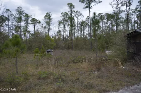 3301 Burns Ln, Chipley, FL 32428 photo 6