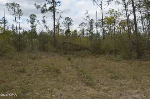 3301 Burns Ln, Chipley, FL 32428 photo 27