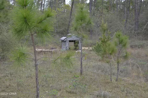 3301 Burns Ln, Chipley, FL 32428 photo 21