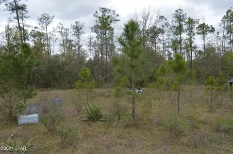 3301 Burns Ln, Chipley, FL 32428 photo 9