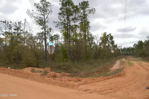 3301 Burns Ln, Chipley, FL 32428 photo 2