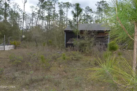 3301 Burns Ln, Chipley, FL 32428 photo 3