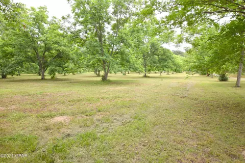 948 Dublin Rd, Chipley, FL 32428 photo 3