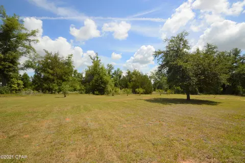 24941 Bates Rd, Altha, FL 32421 photo 18