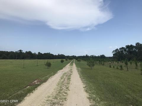 5013 Timberlane Rd, Bascom, FL 32423 photo 54