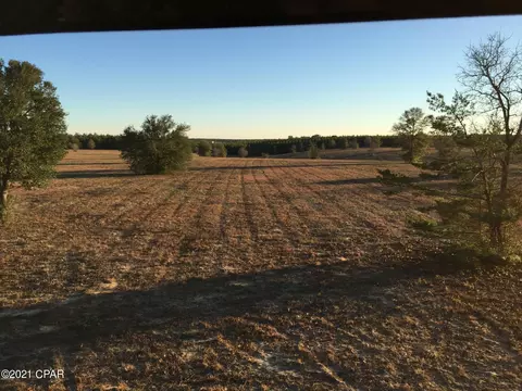 2961 Carter Cir, Chipley, FL 32428 photo 3