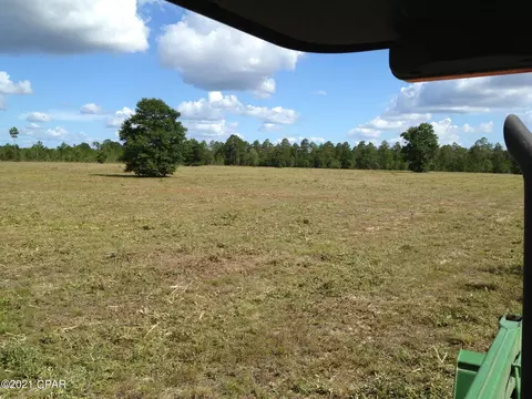 2961 Carter Cir, Chipley, FL 32428 photo 8