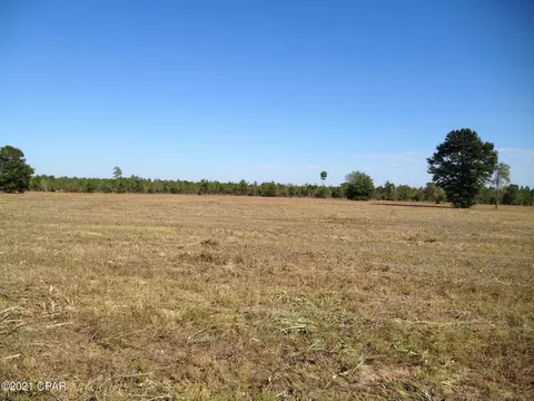 2961 Carter Cir, Chipley, FL 32428 photo 4