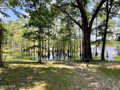3465 River Rd, Vernon, FL 32462 photo 44