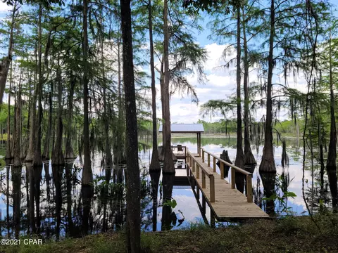 3465 River Rd, Vernon, FL 32462 photo 38