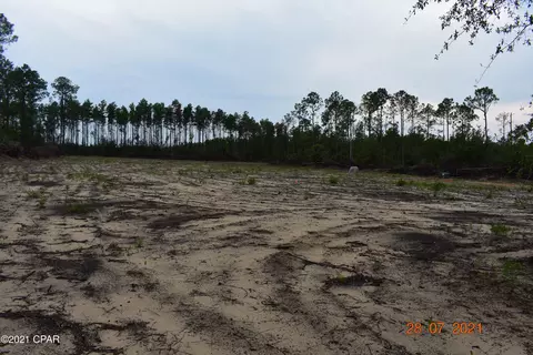 3417 Diddly Rd, Chipley, FL 32428 photo 3