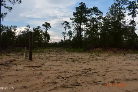 3417 Diddly Rd, Chipley, FL 32428 photo 8