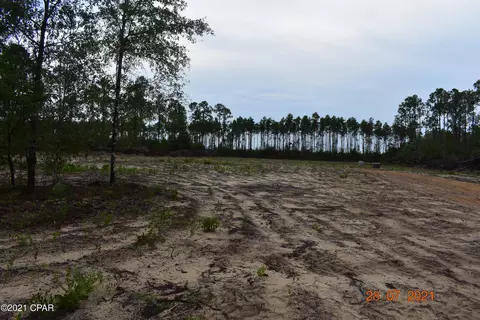 3417 Diddly Rd, Chipley, FL 32428 photo 2