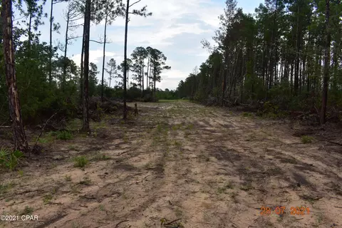 3417 Diddly Rd, Chipley, FL 32428 photo 7