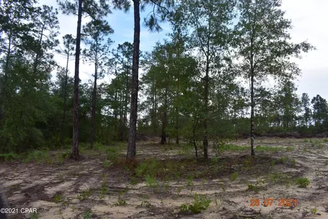 3417 Diddly Rd, Chipley, FL 32428 photo 1