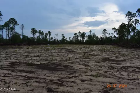 3417 Diddly Rd, Chipley, FL 32428 photo 5