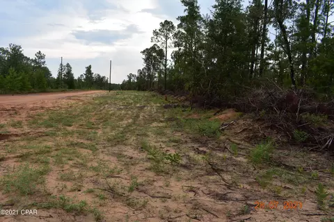 3417 Diddly Rd, Chipley, FL 32428 photo 6