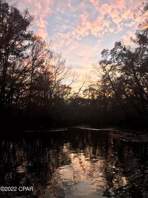3436 Spoolmill Rd, Vernon, FL 32462 photo 33