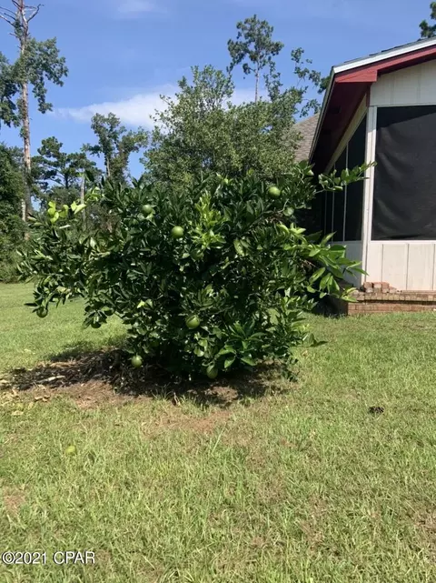 2469 River Rd, Sneads, FL 32460 photo 4