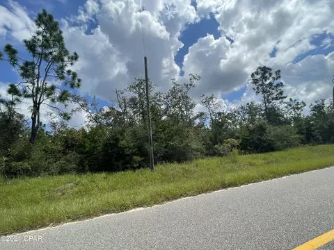25469 Walter Potts Rd, Altha, FL 32421 photo 1