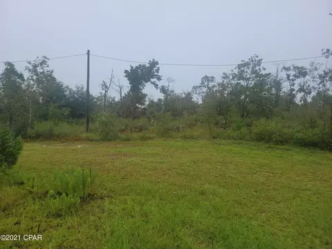 3265 Orange Hill Rd, Chipley, FL 32428 photo 19