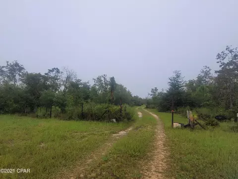 3265 Orange Hill Rd, Chipley, FL 32428 photo 17