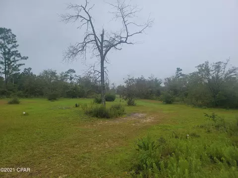 3265 Orange Hill Rd, Chipley, FL 32428 photo 20