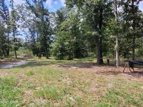 5296 Baxter Rd, Malone, FL 32445 photo 30