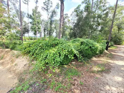5296 Baxter Rd, Malone, FL 32445 photo 39